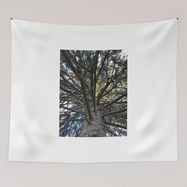 Item preview, Looking Up.   designed and sold by Rjsmommy23.
