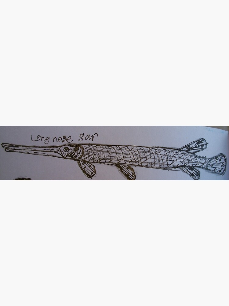 "Longnose Gar (Sketch)" Photographic Print by SkylarMuller Redbubble