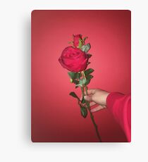 Rose Ästhetik Leinwanddruck