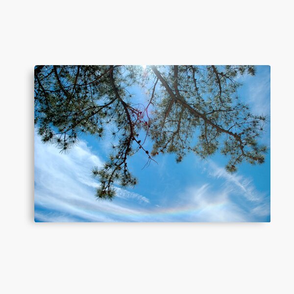 Nice Day Metal Print