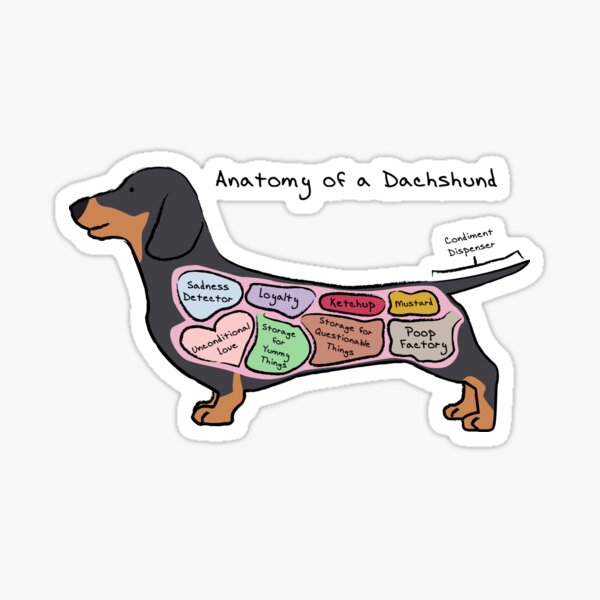 weenie dog gifts