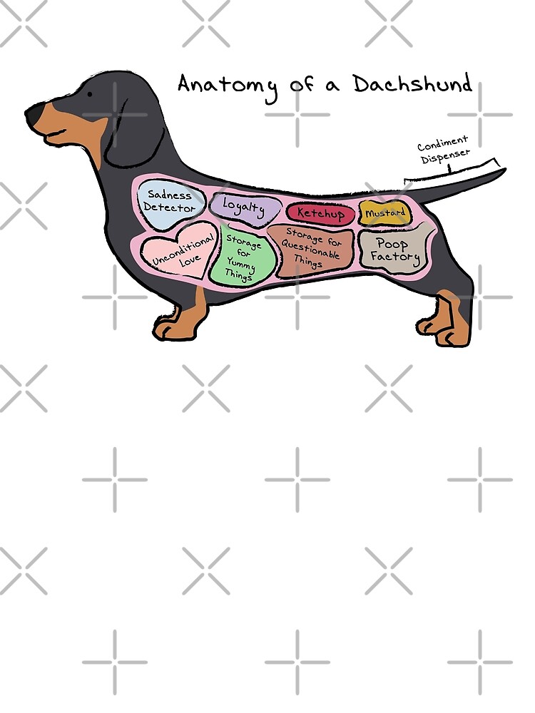 "Anatomy of a Dachshund" by MommySketchpad Redbubble