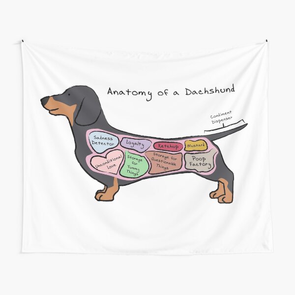 Anatomy of a Dachshund Tapestry