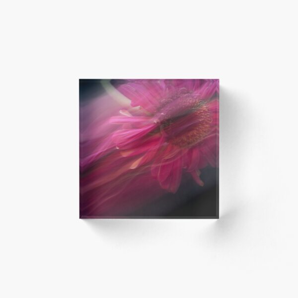 Fleur Blur-Abstract Pink Gerbera Daisy Acrylic Block