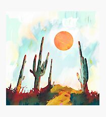 Desert Day Photographic Print