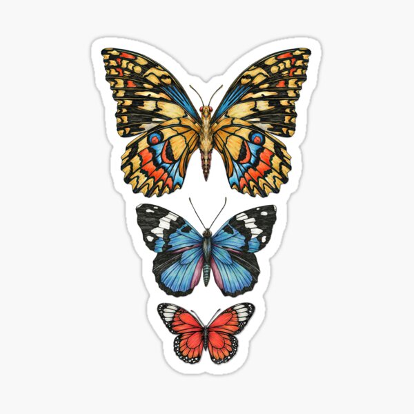 Item preview, Affiche vintage papillon lépidoptère designed and sold by PetitMartin.