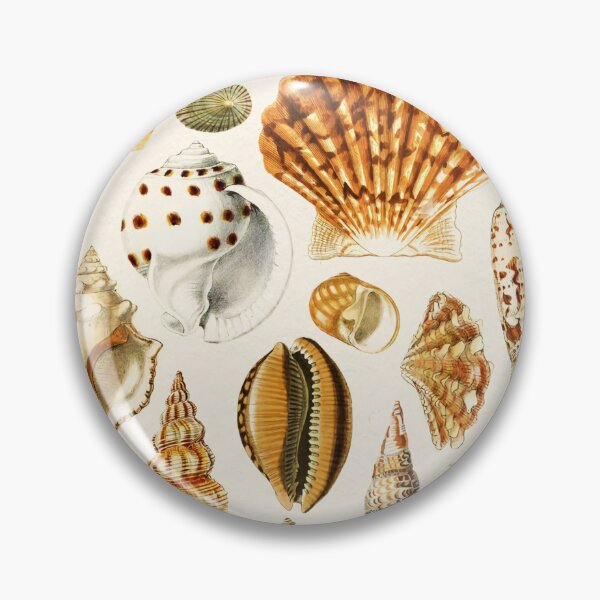Item preview, Types of Seashells designed and sold by KrisMakeGill.