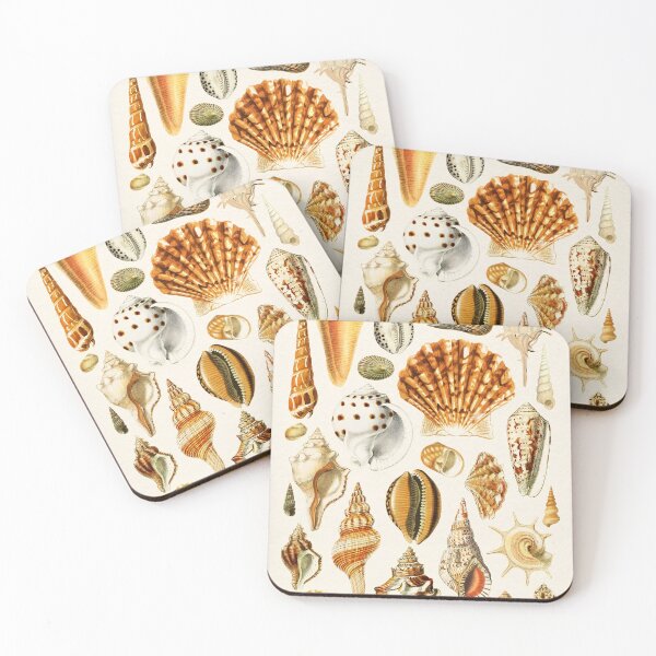Item preview, Types of Seashells designed and sold by KrisMakeGill.