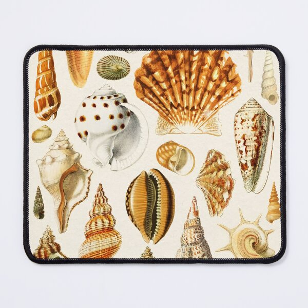 Item preview, Types of Seashells designed and sold by KrisMakeGill.