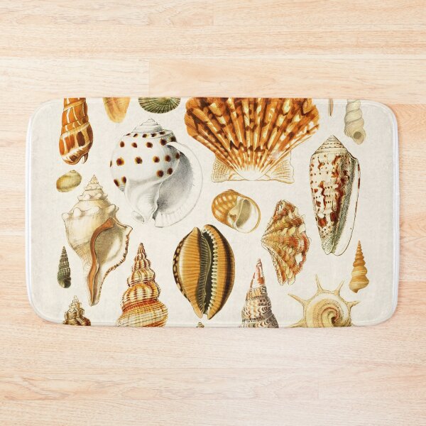 Item preview, Types of Seashells designed and sold by KrisMakeGill.