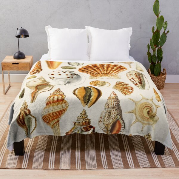 Item preview, Types of Seashells designed and sold by KrisMakeGill.