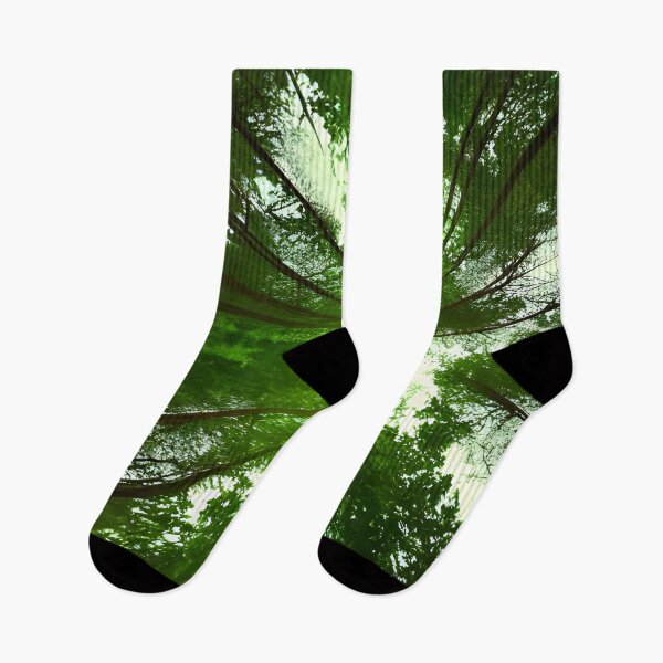 Item preview, AI Generated Art, Forest Skyward View  designed and sold by ACC .