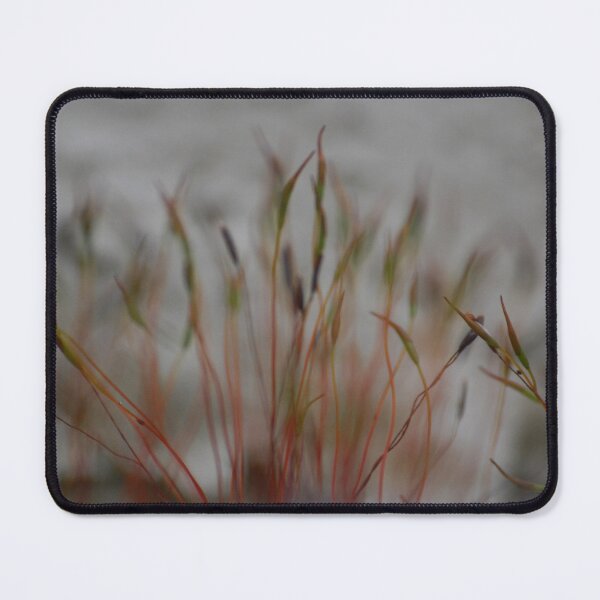 Item preview, mystical minds designed and sold by Declan Carr.