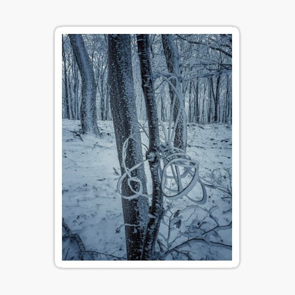 Winter Trees - Magical winter trees in the Palatinate Forest Sticker