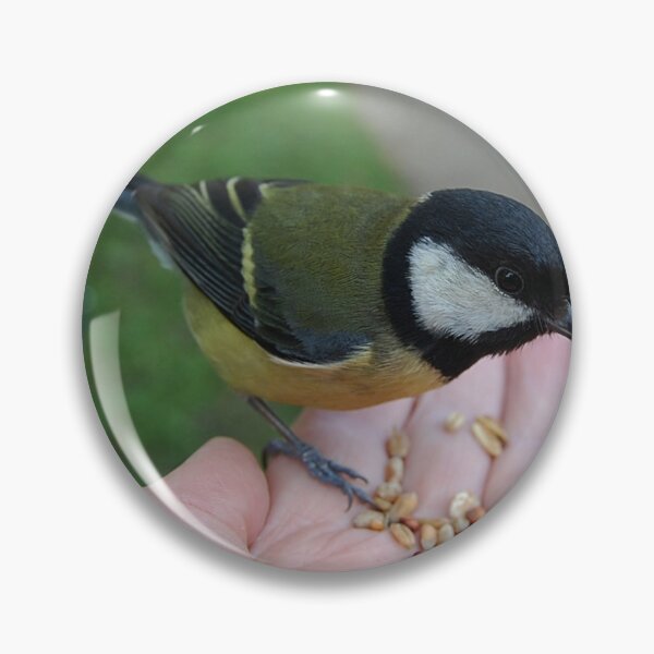 Artikelvorschau, A Bird in my hand is worth everything  entworfen und verkauft von Declan Carr.