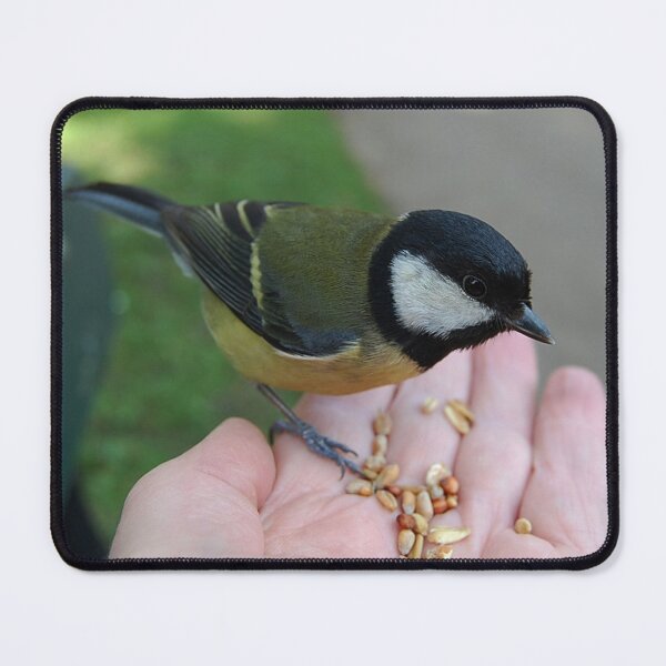 Item preview, A Bird in my hand is worth everything  designed and sold by Declan Carr.