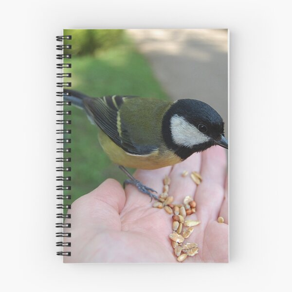 Item preview, A Bird in my hand is worth everything  designed and sold by Declan Carr.