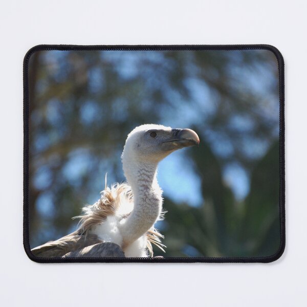Item preview, whats for dinner? designed and sold by Declan Carr.