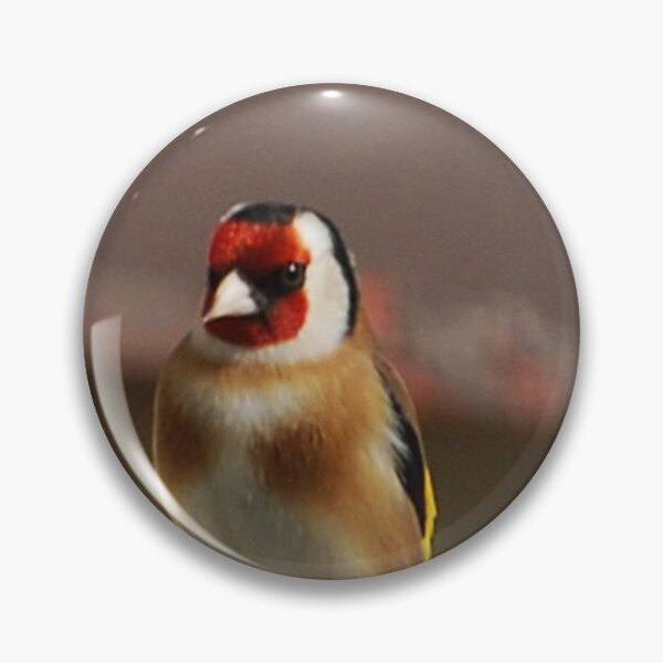 Item preview, goldfinch designed and sold by Declan Carr.