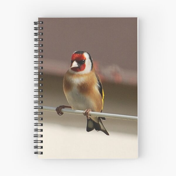 Item preview, goldfinch designed and sold by Declan Carr.