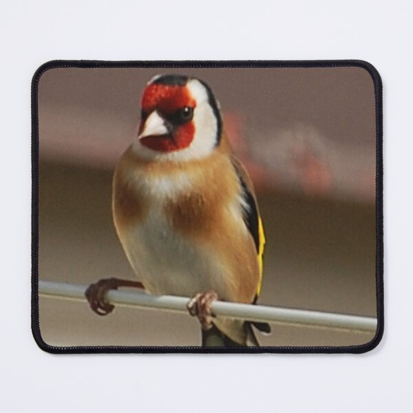 Item preview, goldfinch designed and sold by Declan Carr.