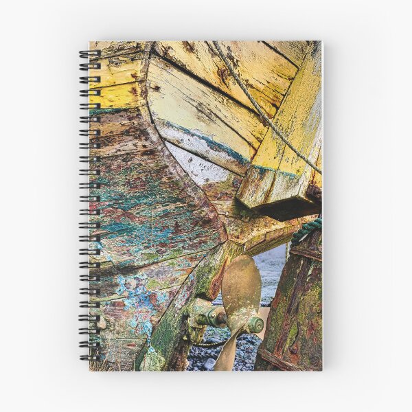 Item preview, Rosebud in Abersoch, RBST designed and sold by Turtle  Photography.