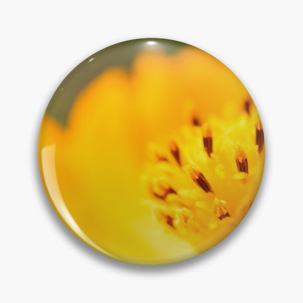Item preview, Golden Cosmos designed and sold by akiobsession.