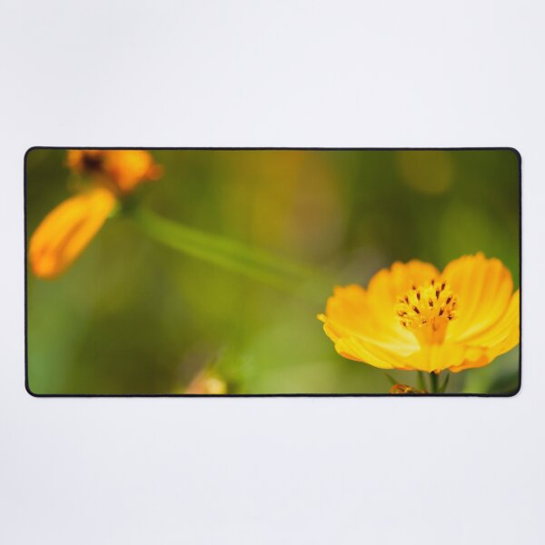 Item preview, Golden Cosmos designed and sold by akiobsession.