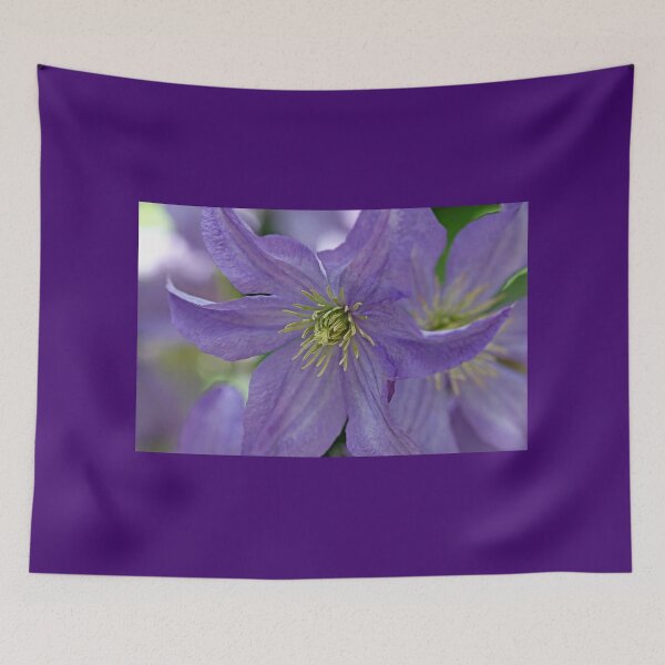 Item preview, Softly Purple Clematis designed and sold by Debbie Oppermann.