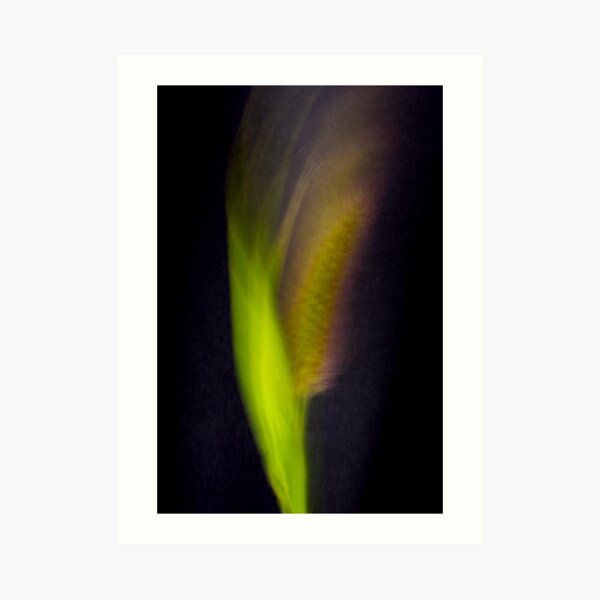 Fleur Blur-Abstract Bristle Grass Art Print