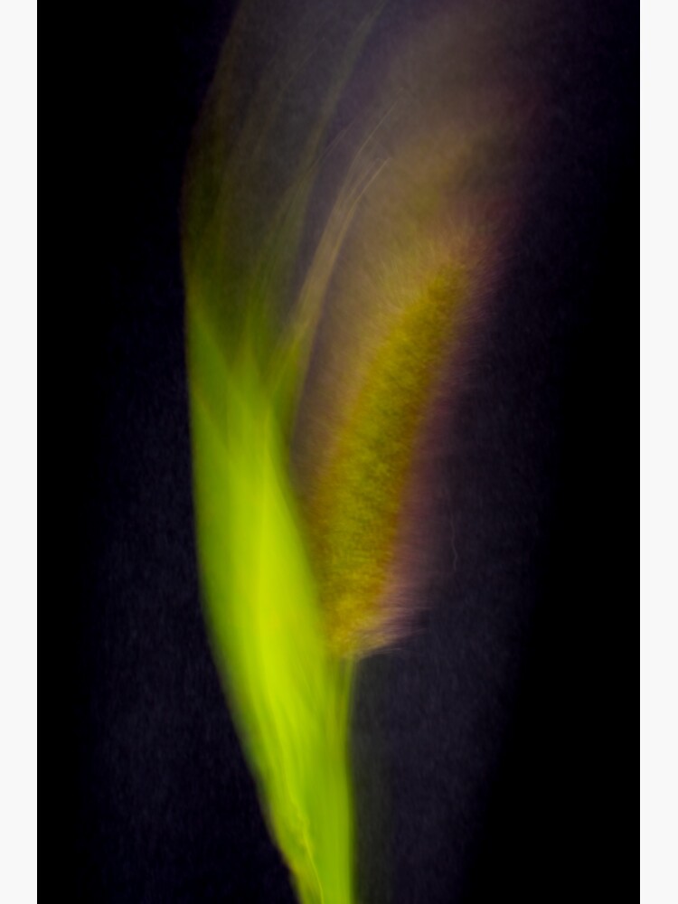 Fleur Blur-Abstract Bristle Grass by AhUmDesign