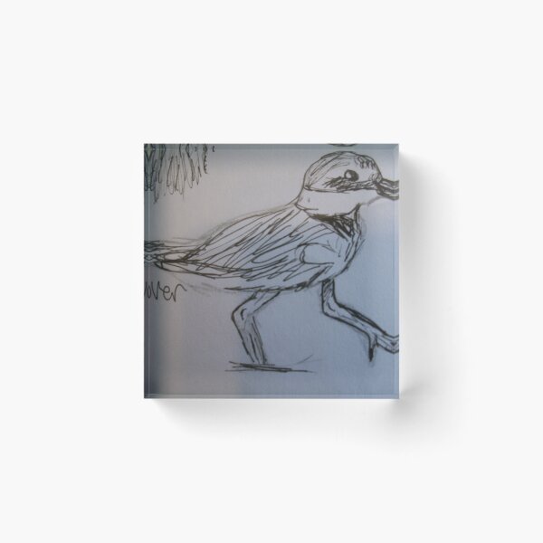 Item preview, Piping Plover (Sketch) designed and sold by SkylarMuller.