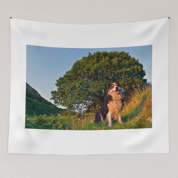 Item preview, Mi Laddie designed and sold by Michael Haslam.