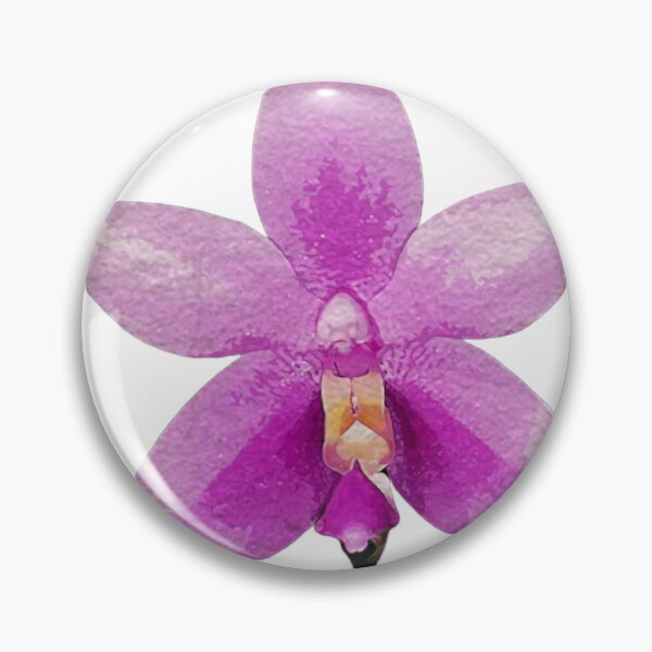 Item preview, Phalaenopsis mentawaiensis Orchid  designed and sold by Floral-Art.
