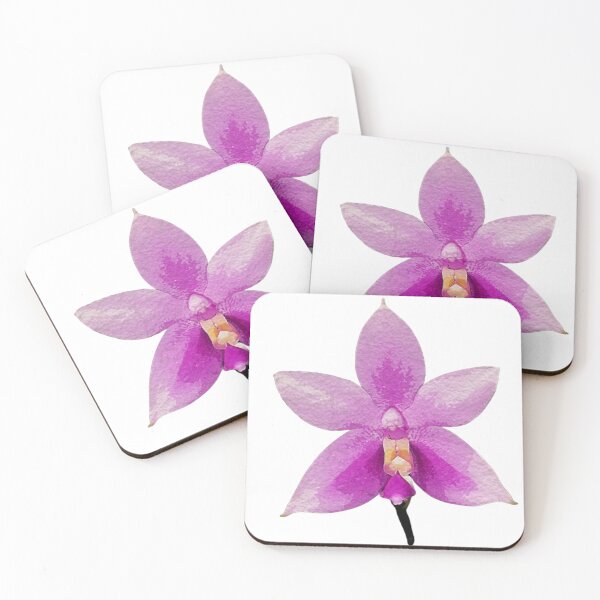 Item preview, Phalaenopsis mentawaiensis Orchid  designed and sold by Floral-Art.