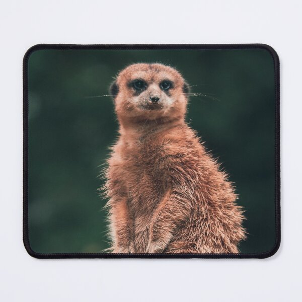 Item preview, cute meerkat is keeping watch african safari designed and sold by SophieHueper.