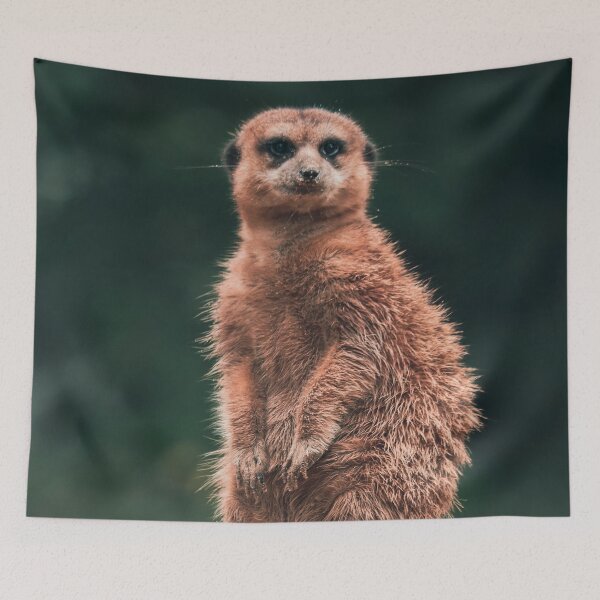 Item preview, cute meerkat is keeping watch african safari designed and sold by SophieHueper.