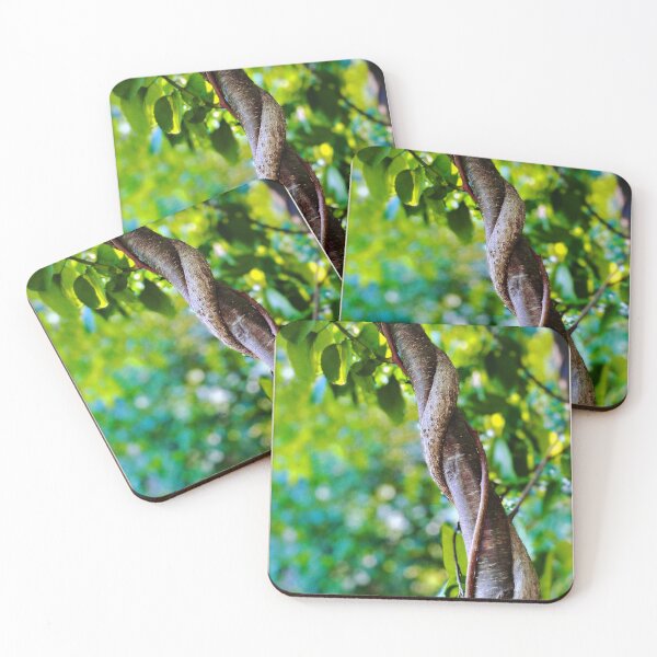 Item preview, Root Climbing High designed and sold by Small Potatoes Press.