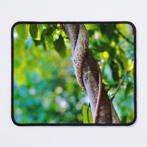 Item preview, Root Climbing High designed and sold by Small Potatoes Press.