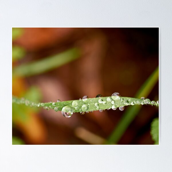 Item preview, Raindrop Spherical Perfection designed and sold by imaginethis.