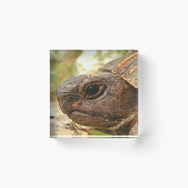 Item preview, Close Up Side Portrait Of A Turkish Tortoise designed and sold by taiche.