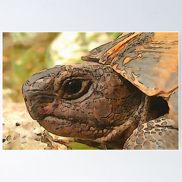 Item preview, Close Up Side Portrait Of A Turkish Tortoise designed and sold by taiche.