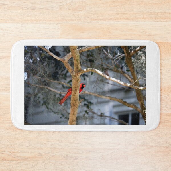 Item preview, Cardinal On Bare Tree designed and sold by Cynthia48.