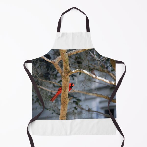 Item preview, Cardinal On Bare Tree designed and sold by Cynthia48.