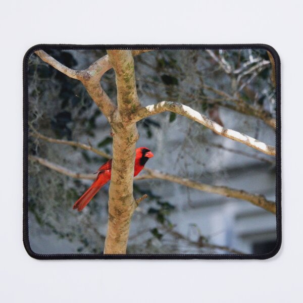 Item preview, Cardinal On Bare Tree designed and sold by Cynthia48.