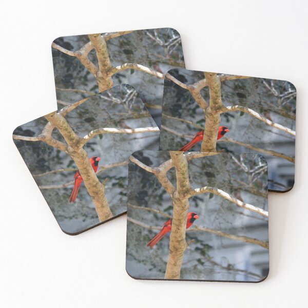 Item preview, Cardinal On Bare Tree designed and sold by Cynthia48.
