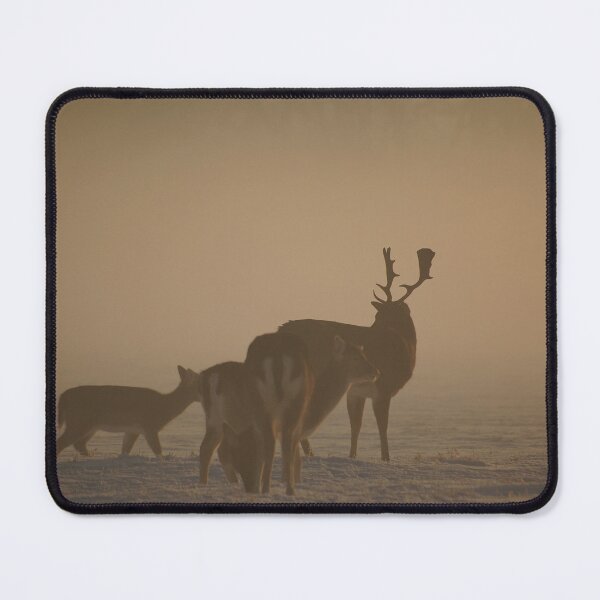Item preview, He might pick you next Christmas. designed and sold by Declan Carr.
