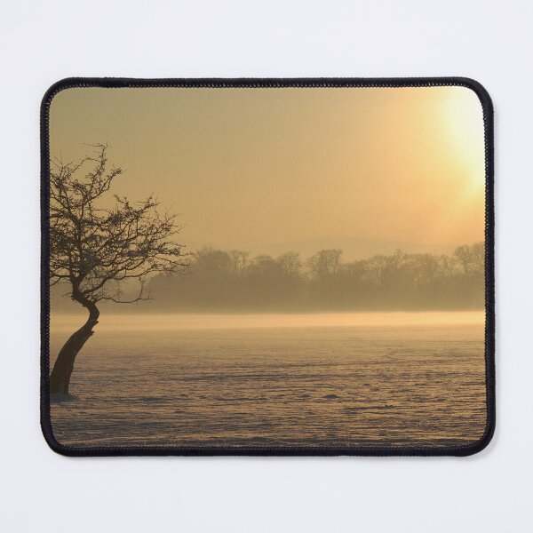 Item preview, calling out designed and sold by Declan Carr.
