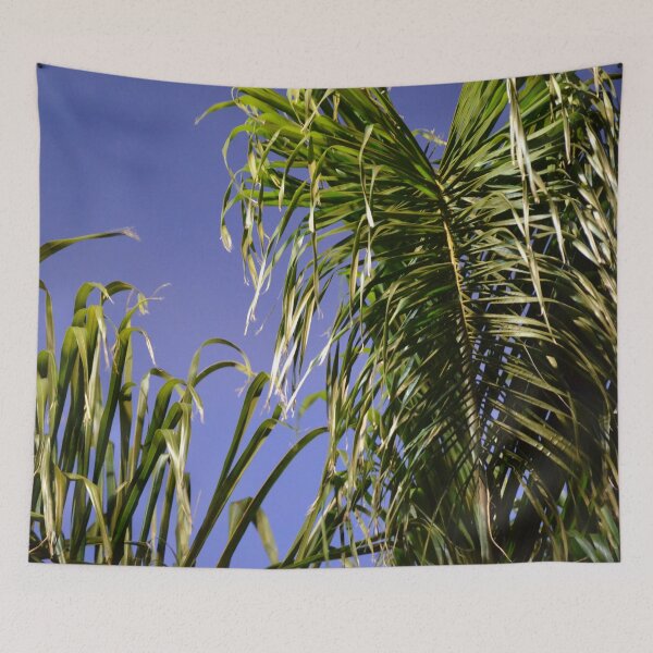 Item preview, Palm in the evening light designed and sold by lizdomett.