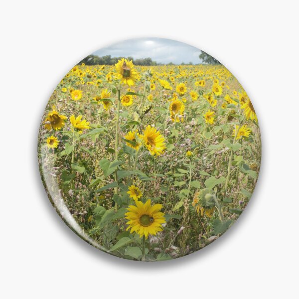 Item preview, Sunflower Fields,Angelsey designed and sold by Derren Jones.